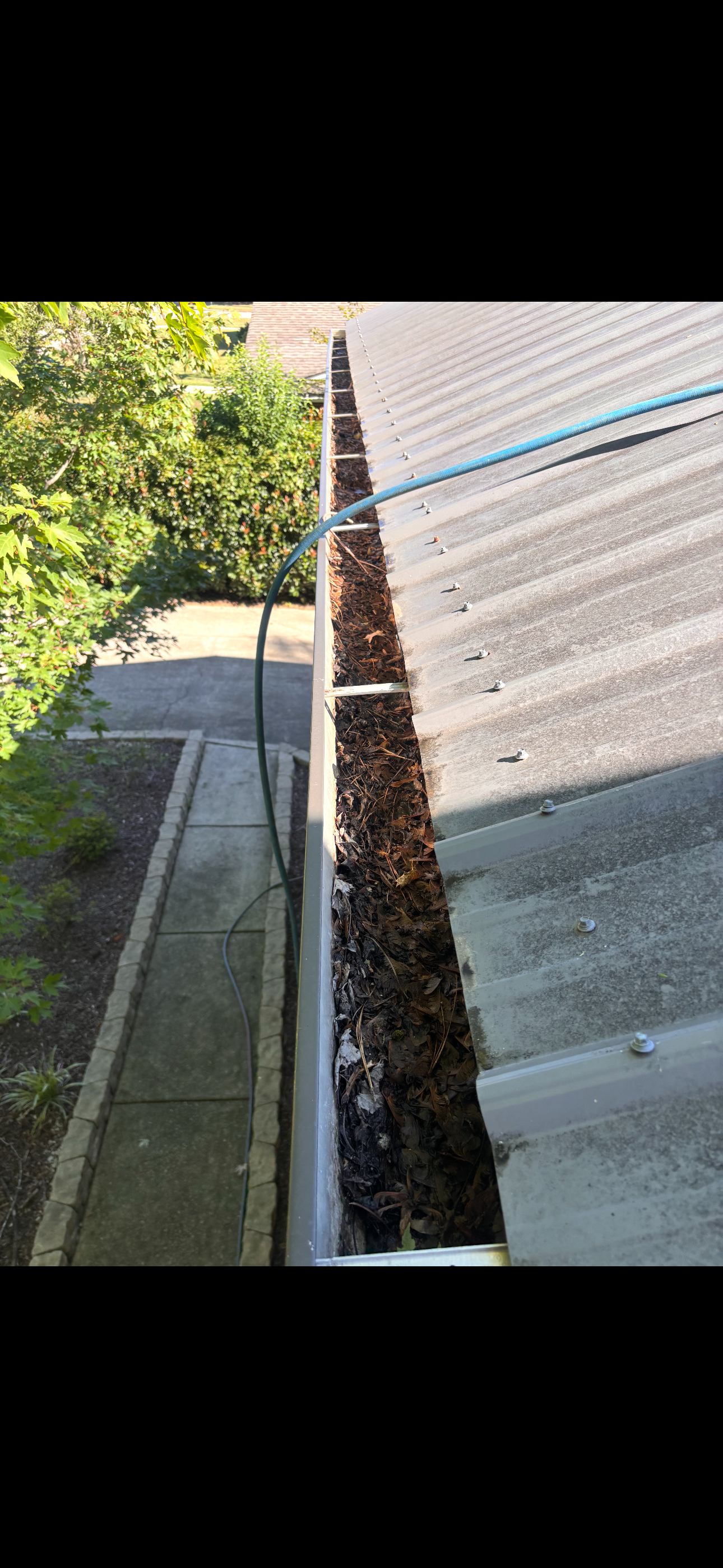 Gutter before cleaning